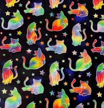 Load image into Gallery viewer, Galactic Cats Face Mask
